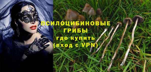 прущий лед Алексин