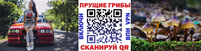 Галлюциногенные грибы GOLDEN TEACHER Каргат